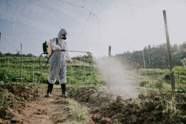 Best Pest Prevention Services  in Muscoy, CA