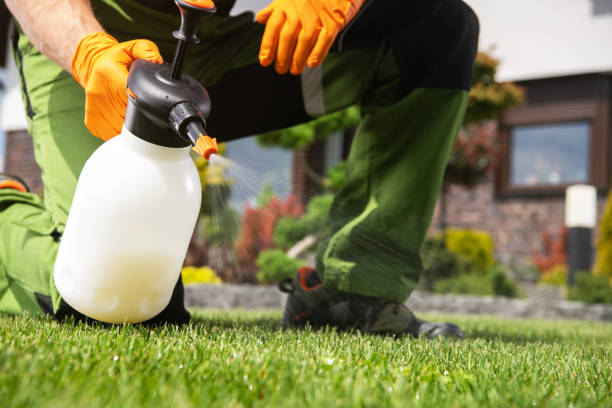 Best Affordable Pest Control Services  in Muscoy, CA