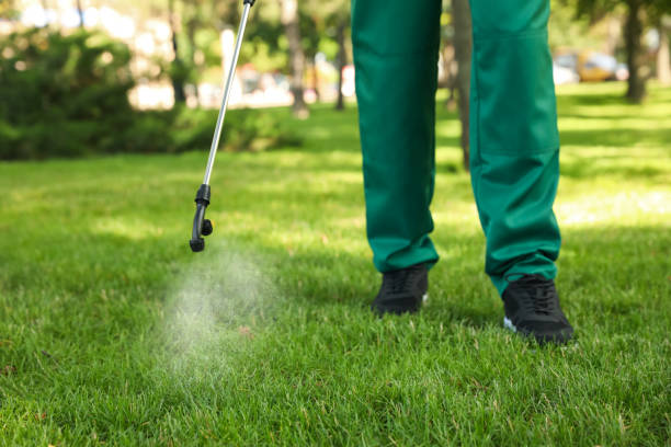 Best Termite Control Services  in Muscoy, CA