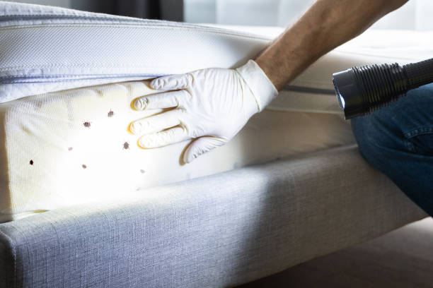 Best Pest Removal Services  in Muscoy, CA