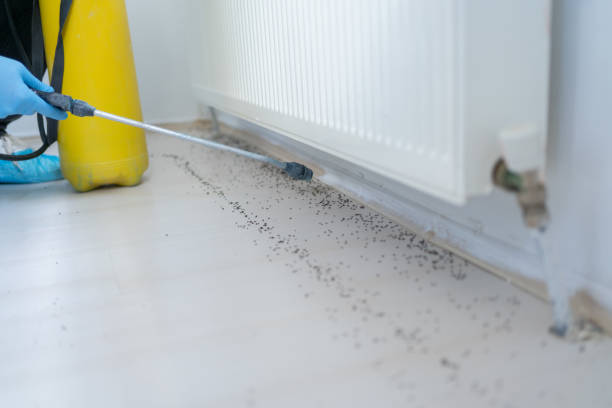 Best Wildlife Control Services  in Muscoy, CA