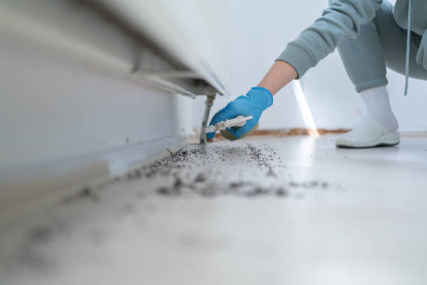 Best Commercial Pest Control Services  in Muscoy, CA